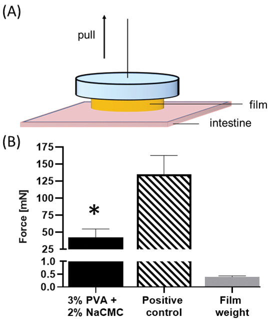 Figure 6.