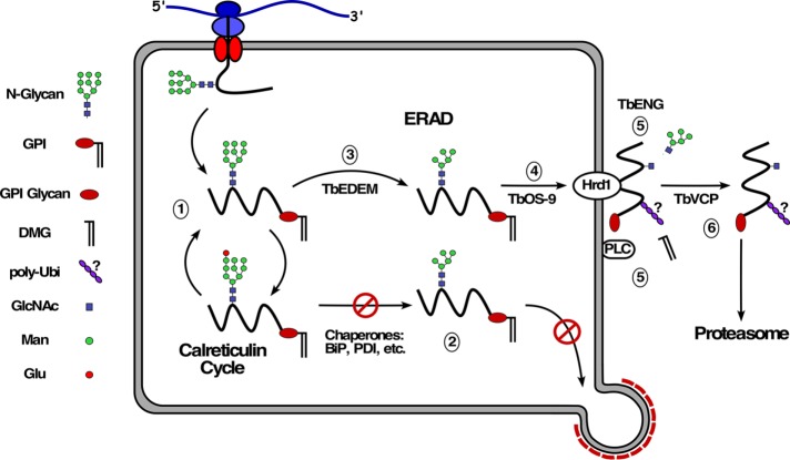 FIGURE 9: