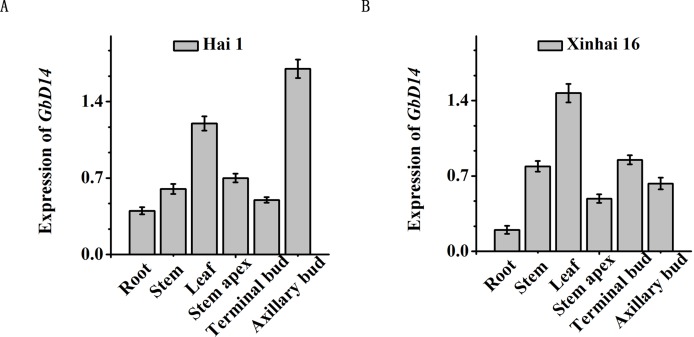 Figure 5