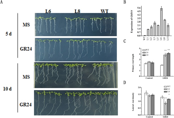 Figure 7