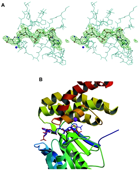 FIG. 5.