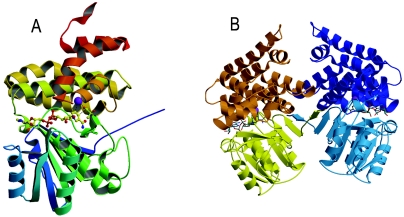 FIG. 2.