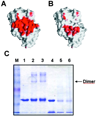 FIG. 8.