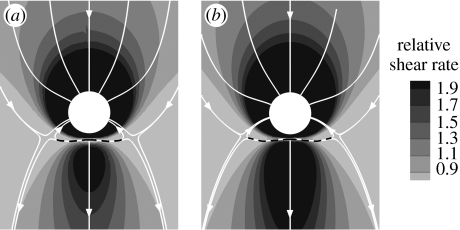 Figure 8