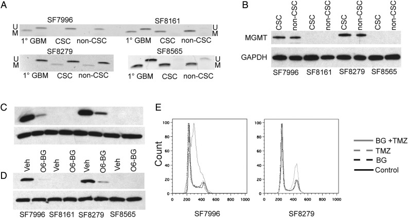 Fig. 3.