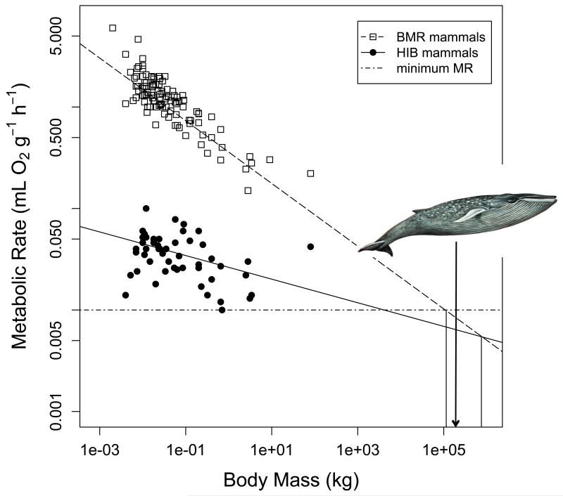 Fig. 11