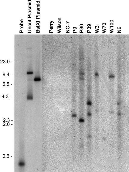 Figure 2.