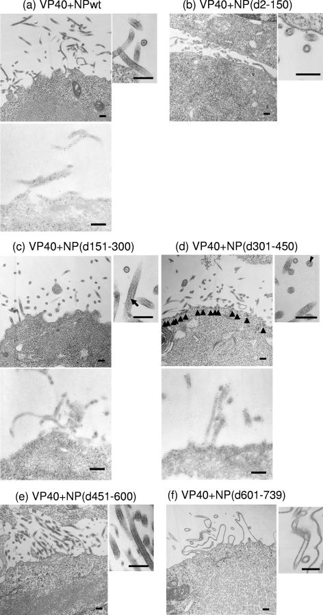 FIG. 5.