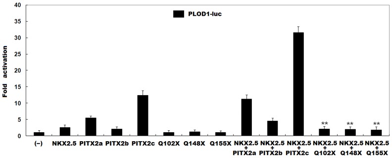 Fig 4