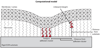 Extended Data Figure 2