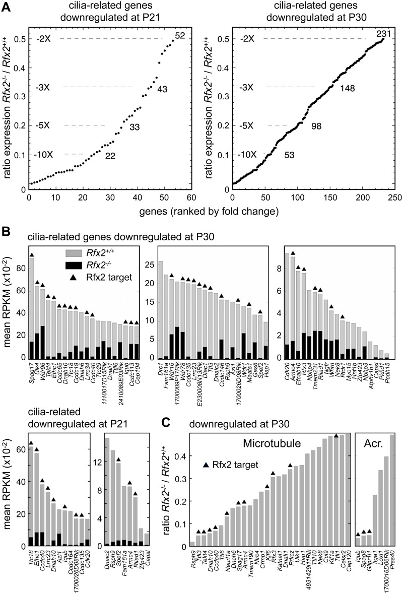 Fig 10