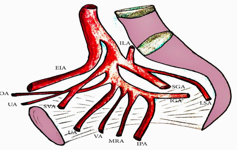 Figure 7