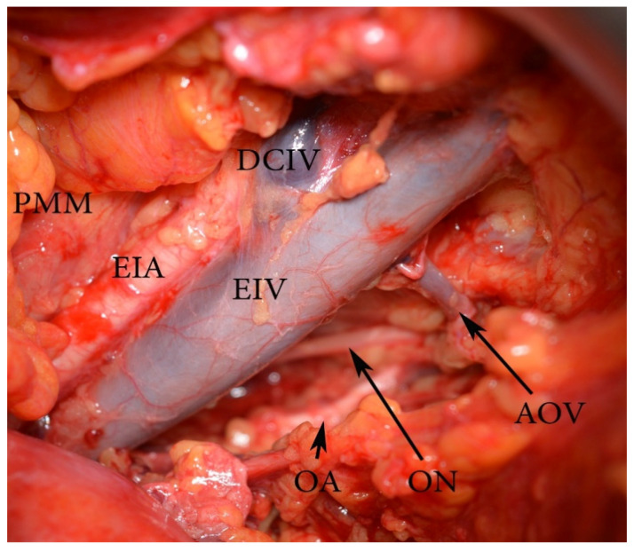 Figure 19