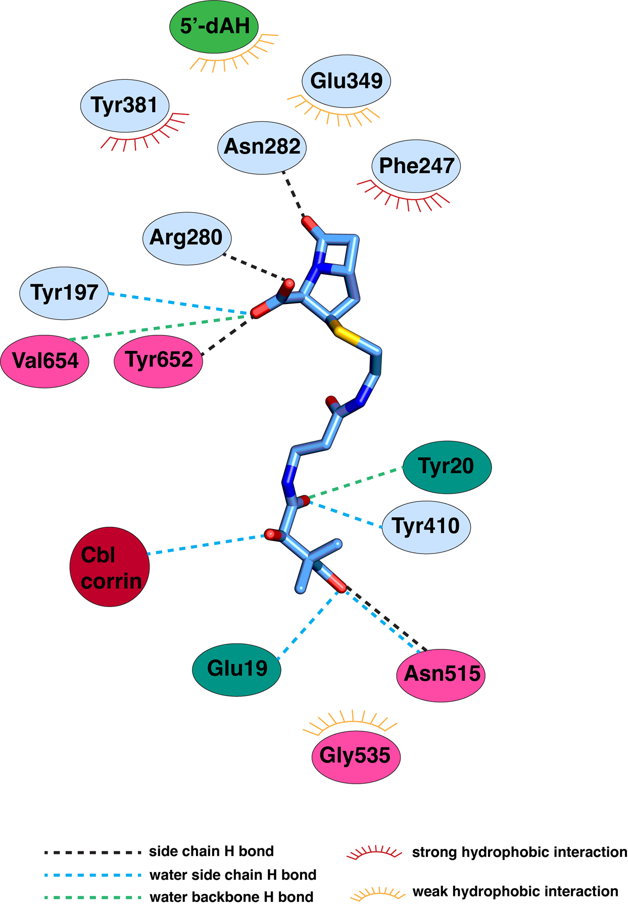 Extended Data Fig. 6.