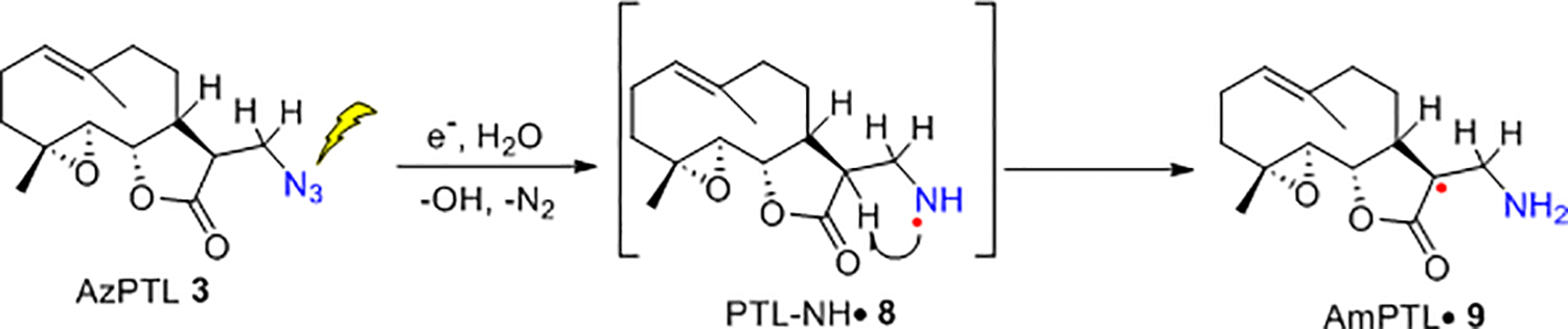 Scheme 4.