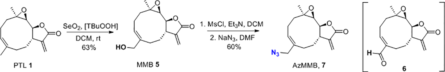 Scheme 3.