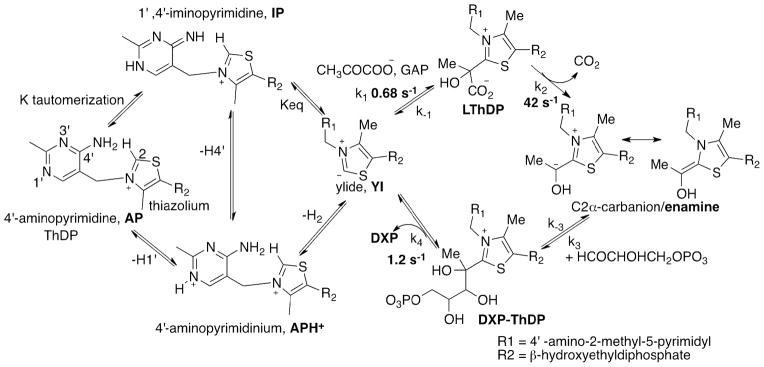 Scheme 1