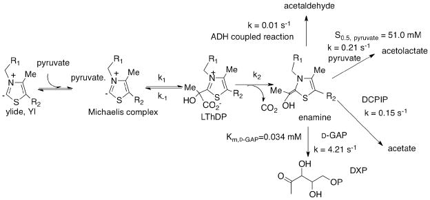 Scheme 2