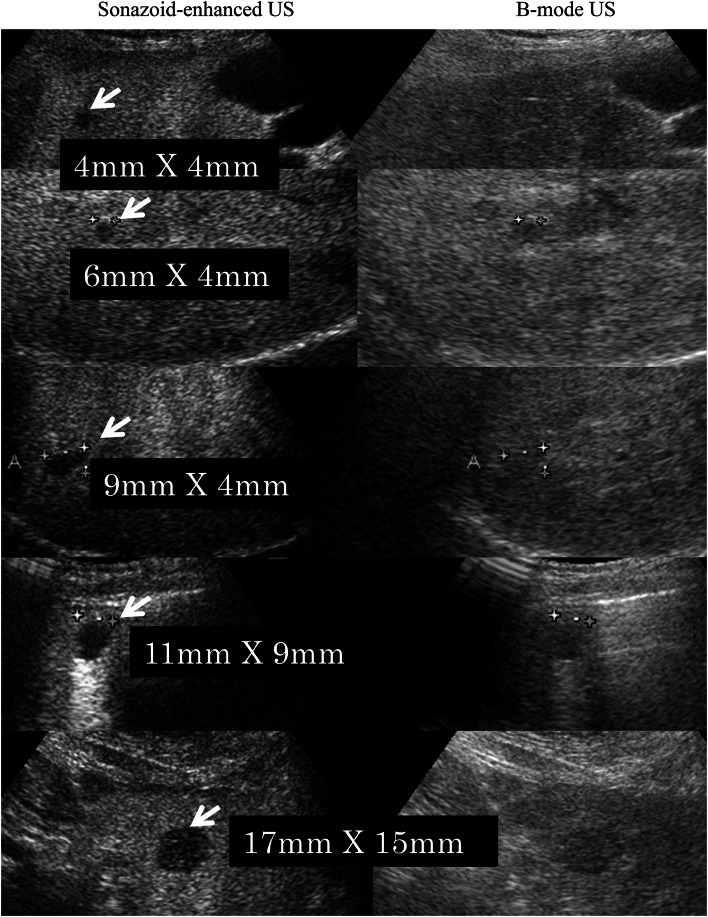 Fig. 4