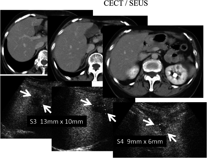 Fig. 3