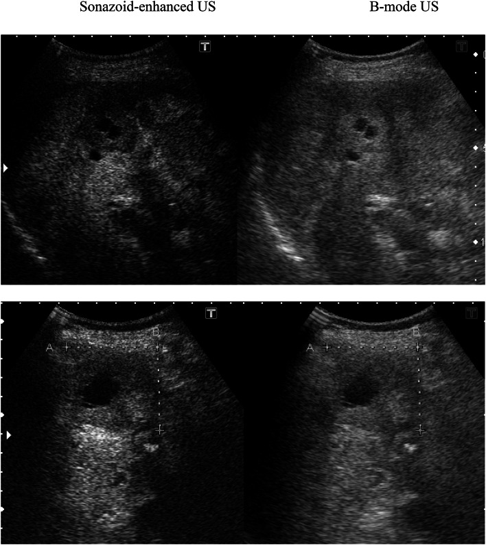 Fig. 6