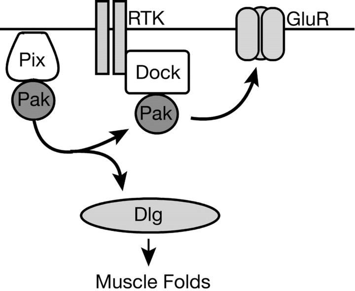 
Figure 9.
