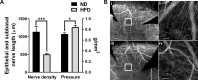 Fig 7