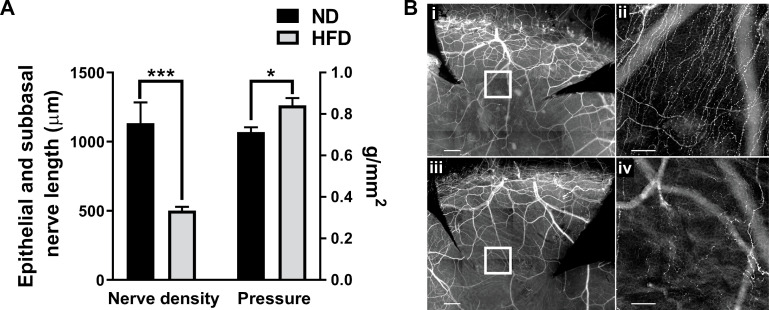 Fig 7