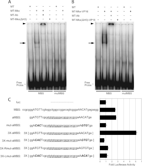 FIGURE 4.