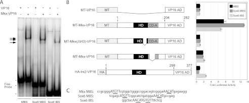 FIGURE 6.