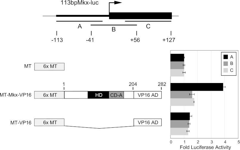 FIGURE 3.