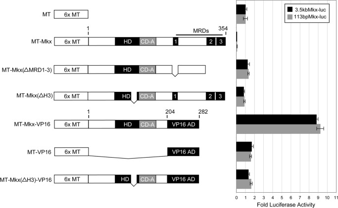 FIGURE 2.