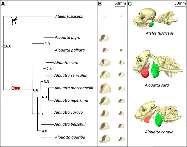 Figure 2