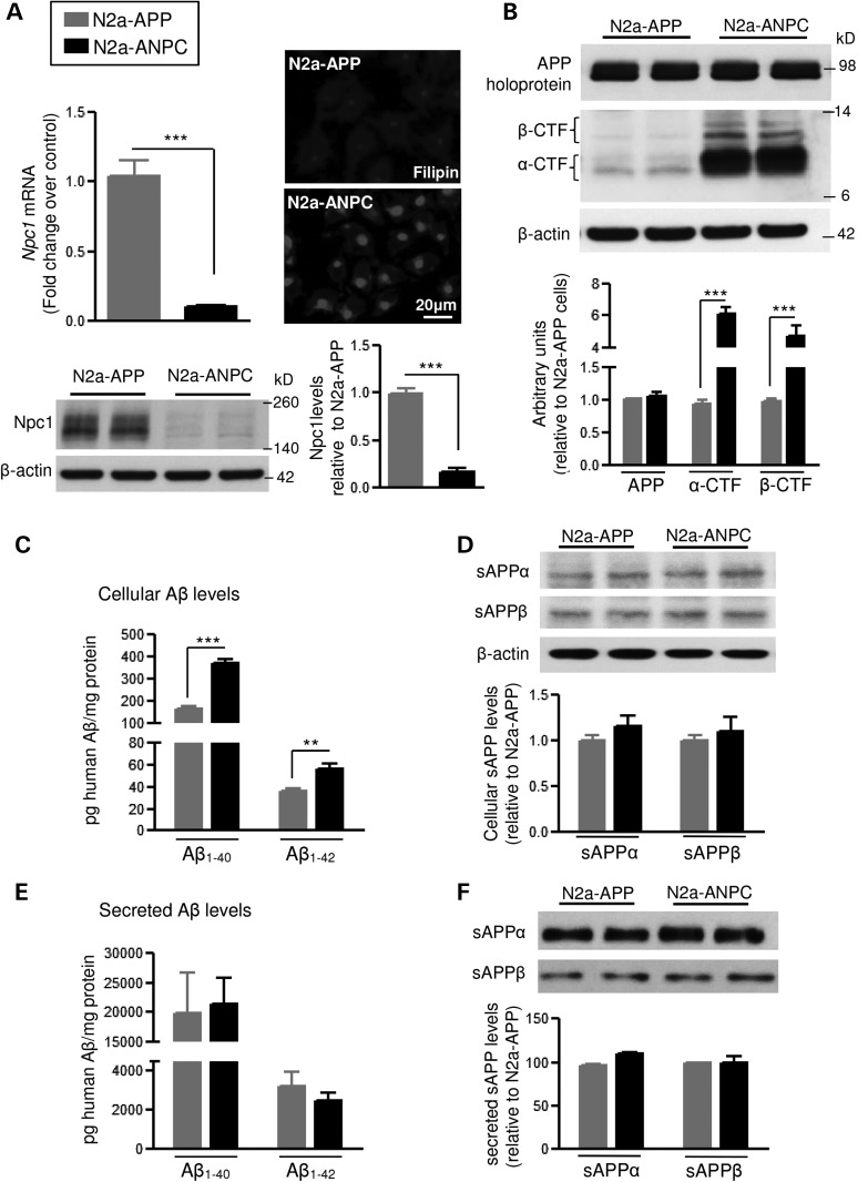 Figure 2.