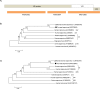 Fig 10