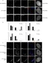 FIG 6