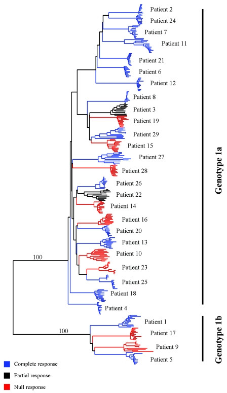 FIG. 1.