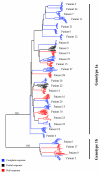 FIG. 1.