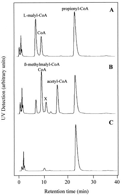 FIG. 5.