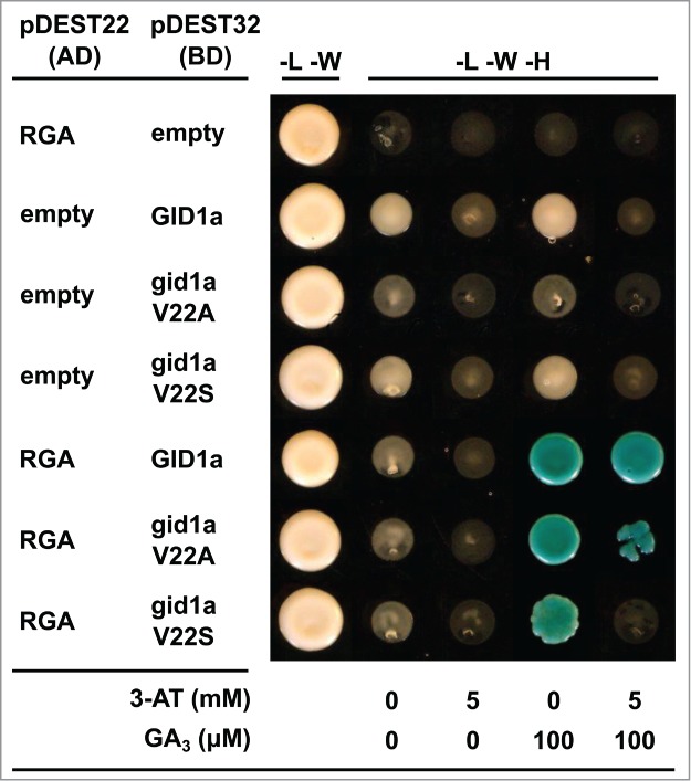 Figure 2.