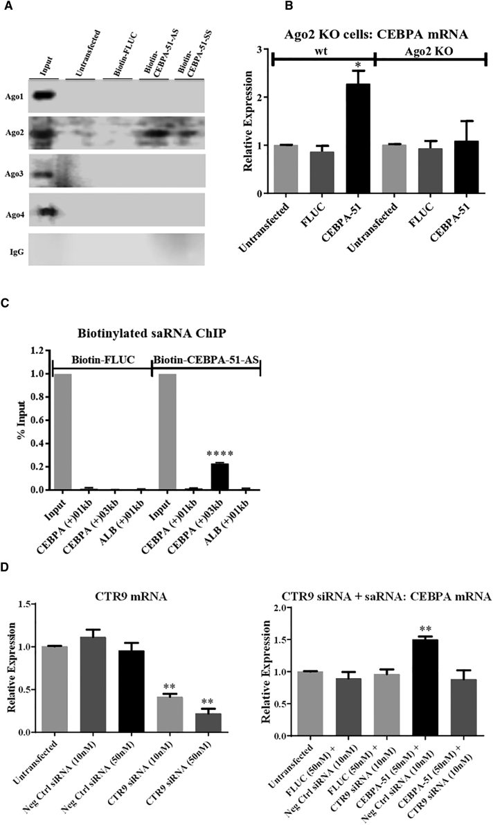 Figure 4