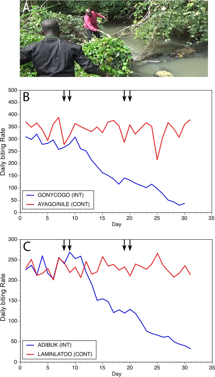 Fig 2