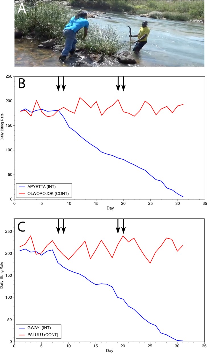 Fig 3