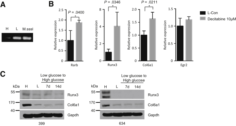 Figure 7