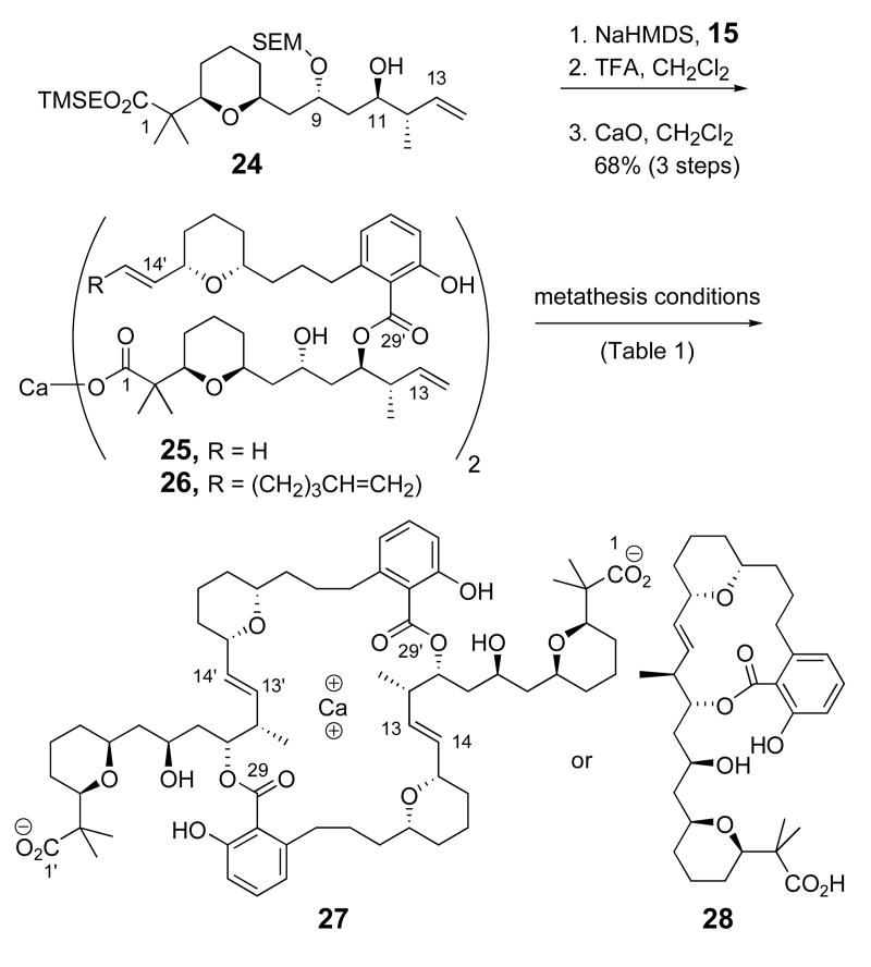 Scheme 3