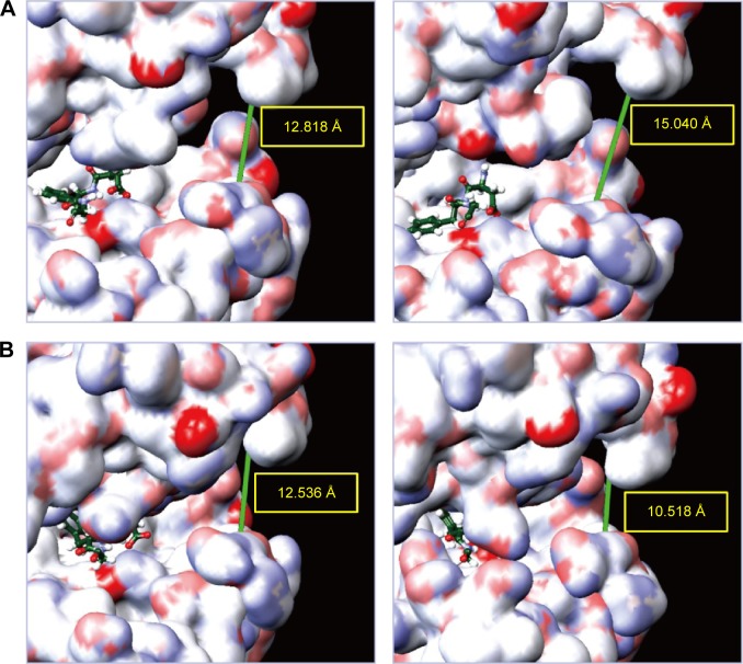 Figure 11