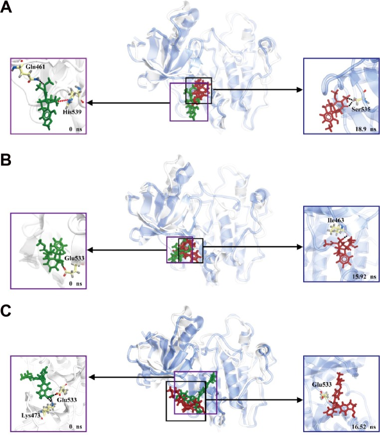 Figure 12