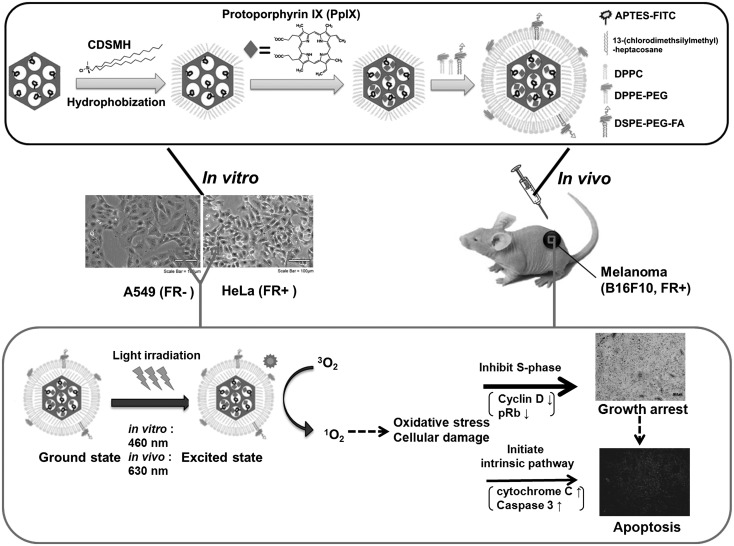 Fig. 2