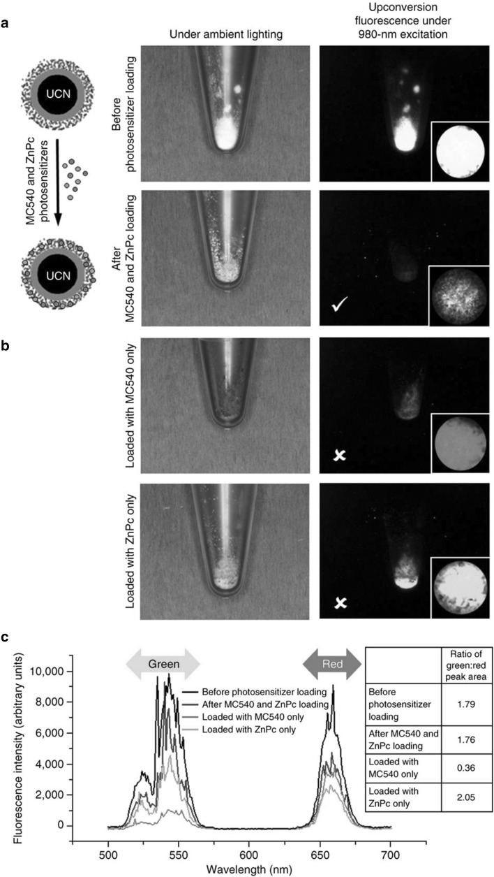 Fig. 3