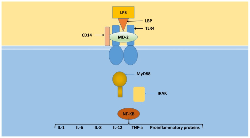 Fig. (1)